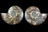 Cut/Polished Ammonite Pair - Agatized #79150-1